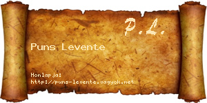 Puns Levente névjegykártya
